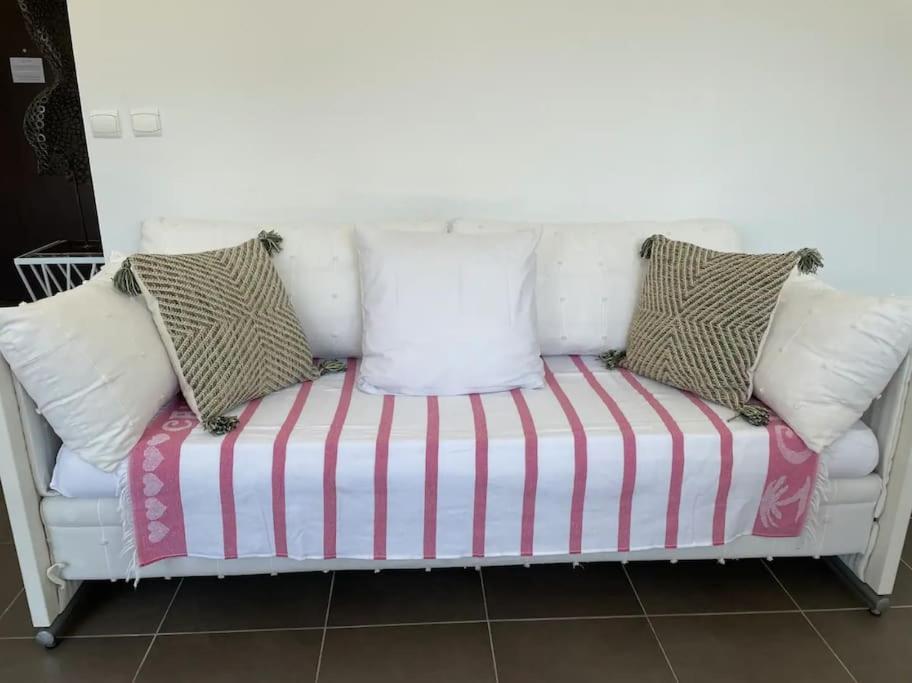 Appartement Toit Terrasse Dans Avec Piscine Cannes